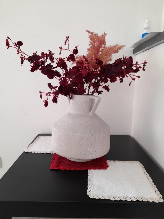 Ferienwohnung Da Celia 贝希特斯加登 外观 照片
